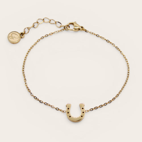 Horseshoe Charm Bracelet Set