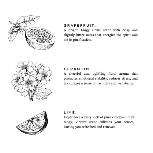 Hello Sunshine - Reed Diffuser (Grapefruit + Geranium + Lime)